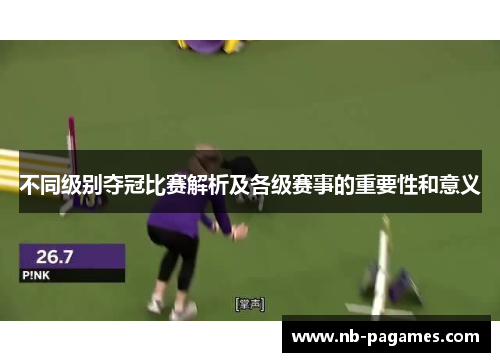 不同级别夺冠比赛解析及各级赛事的重要性和意义
