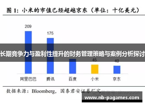 长期竞争力与盈利性提升的财务管理策略与案例分析探讨 长期竞争力与盈利性提升的财务管理策略与案例分析探讨