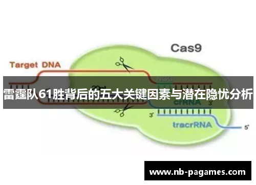雷霆队61胜背后的五大关键因素与潜在隐忧分析